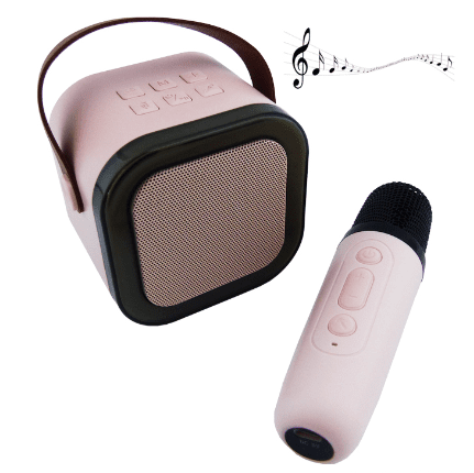 Parlante Karaoke Portable Con Microfono