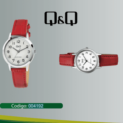 RELOJ Q&Q