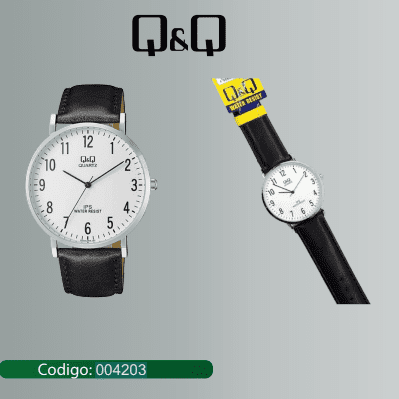 RELOJ Q&Q